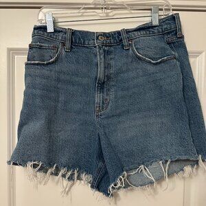 Abercrombie & Fitch The Dad Short - Size 31